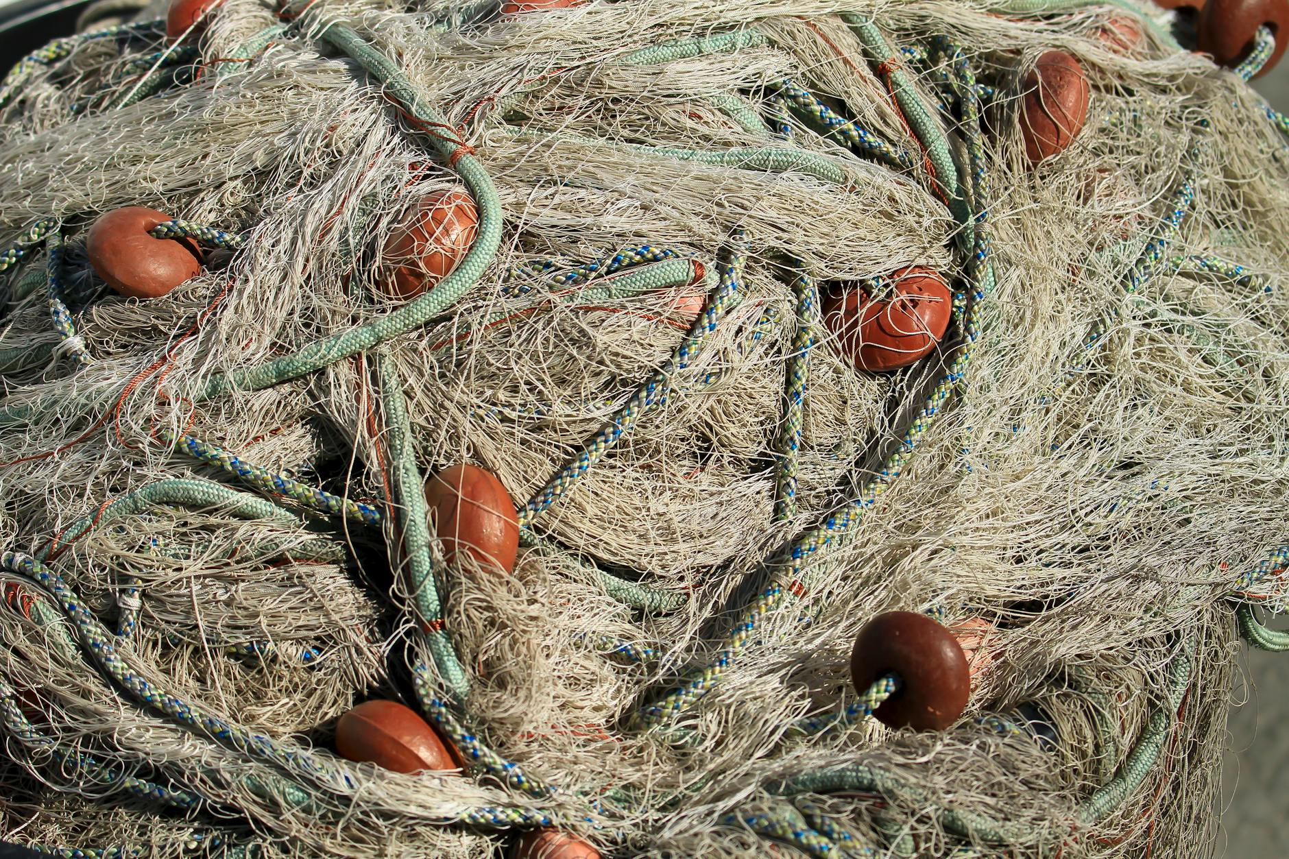 fish net in close up shot