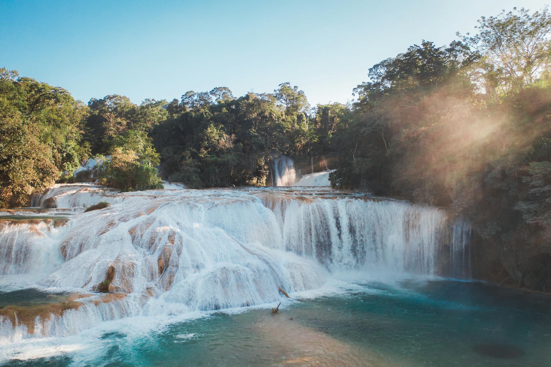 cascading waterfalls in the forest