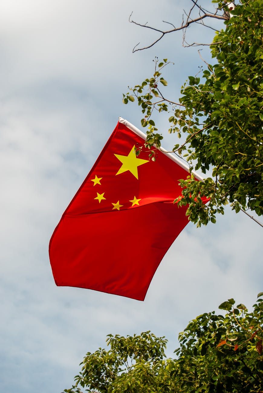 chinese national flag waving amongst trees outdoors