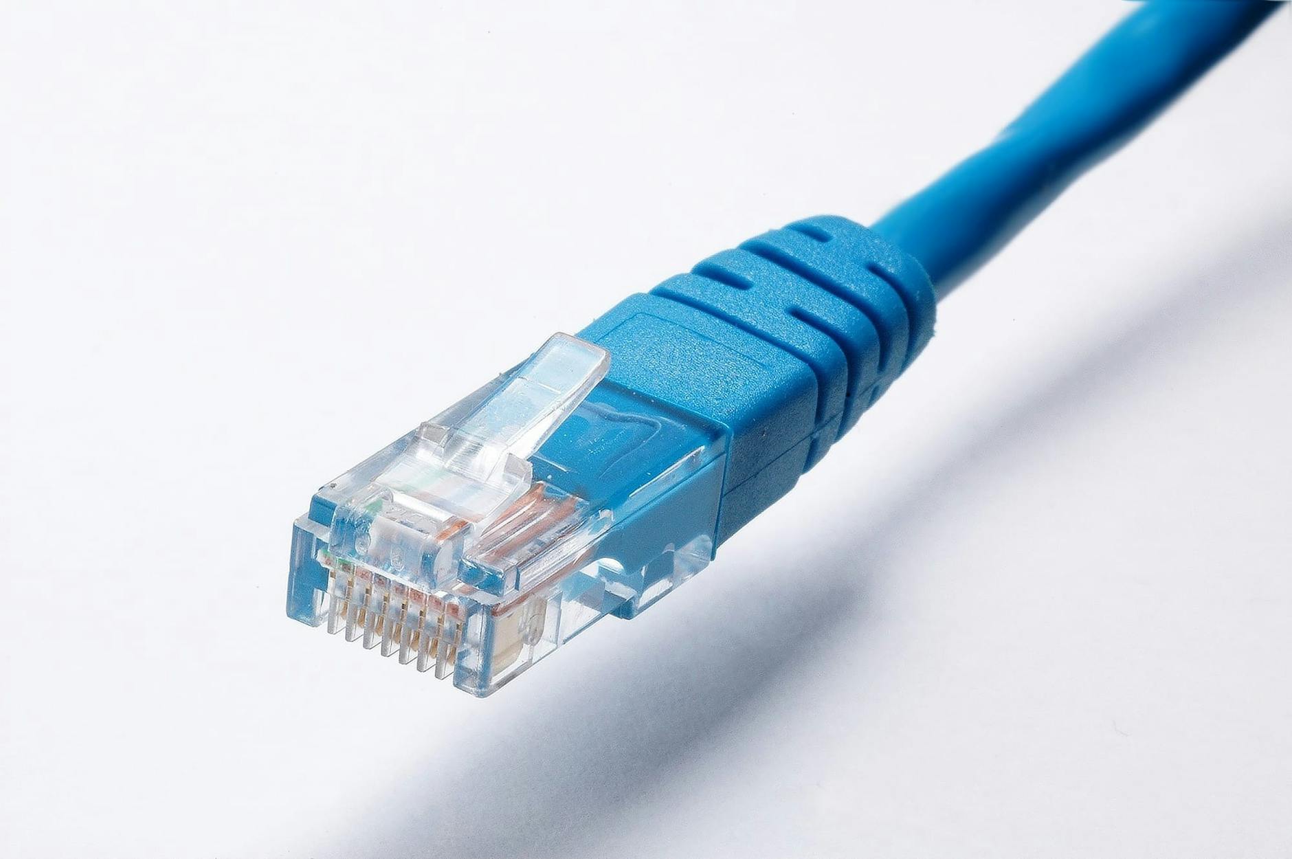 blue ethernet cable