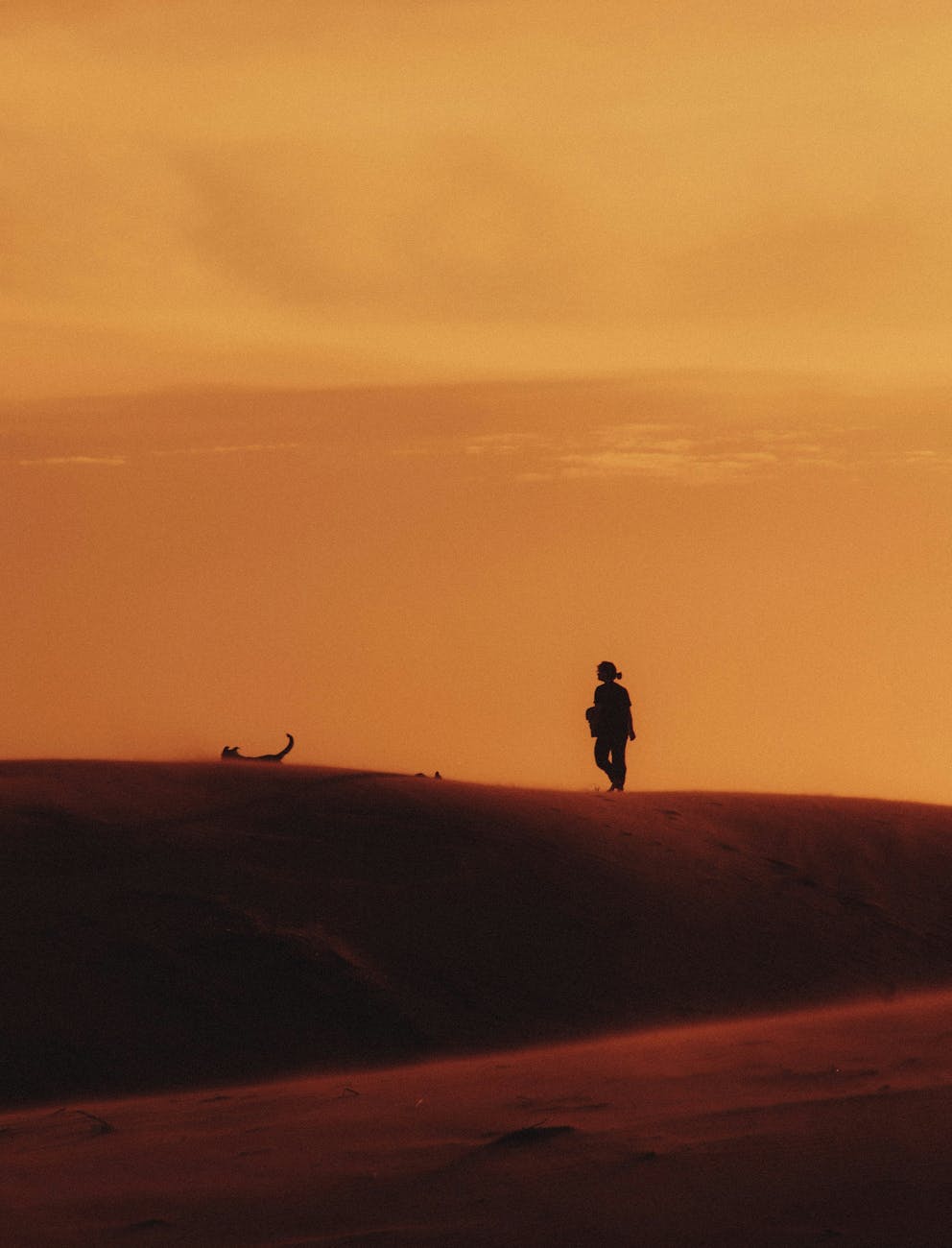 silhouette of person walking on desert at sunset